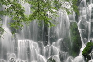 世界举重康复名师在线答疑常态化时间表公布，世界举重冠军