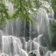 世界举重康复名师在线答疑常态化时间表公布，世界举重冠军