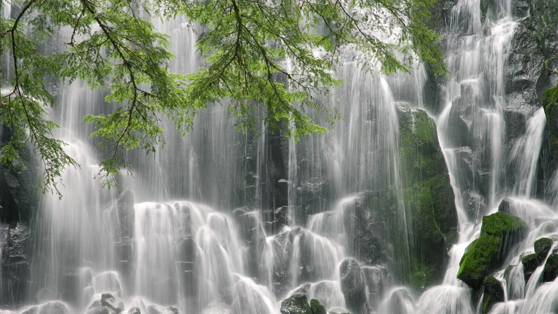 世界举重康复名师在线答疑常态化时间表公布,世界举重冠军